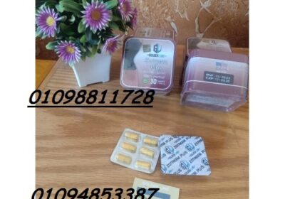 ad5af4cc-bb37-4829-9121-a751c12d26ff-500×500-1