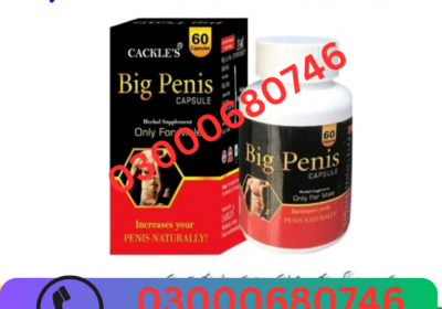 03000680746-2025-03-21T175541.825-1