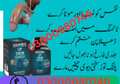 03000680746-41