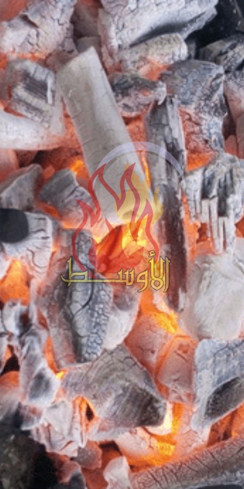 فحم البرتقال النباتي للتصدير