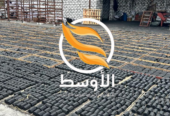 الفحـم الاسطواني للمشـاوي