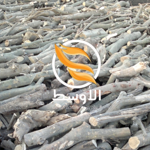 حطب البرتقال للتصدير , حطب مشاوي