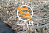 حطب البرتقال للتصدير , حطب مشاوي