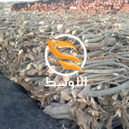 حطب البرتقال للتصدير , حطب مشاوي