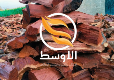 Untitled-design-8