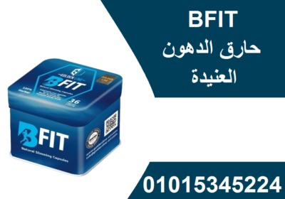a119c063-fcde-4fd8-8d92-409000e42024-removebg-preview-Copy
