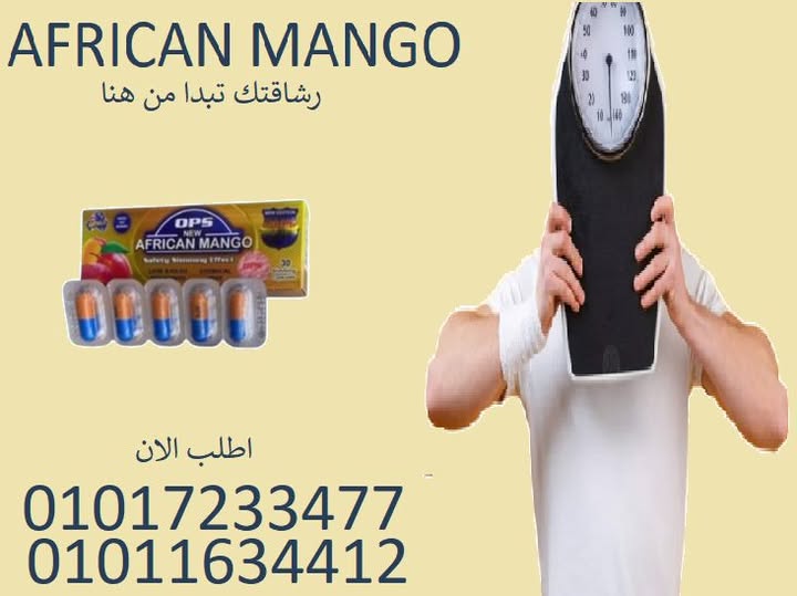509176707_1104935661654496_917226495711688358_n-1
