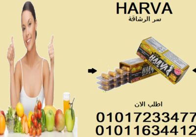download-2-4