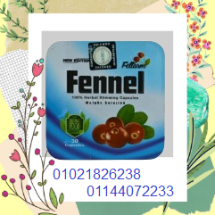 download-removebg-preview-4-2
