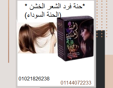 download__2_-removebg-preview-2