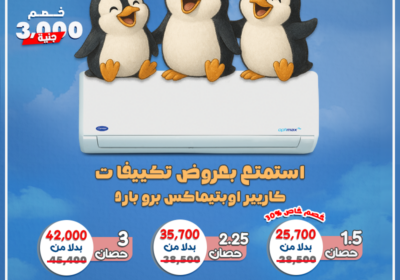كاريير-البطريق-المجمع-23-6-2025