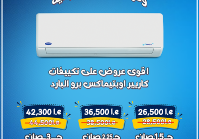 كاريير19-6