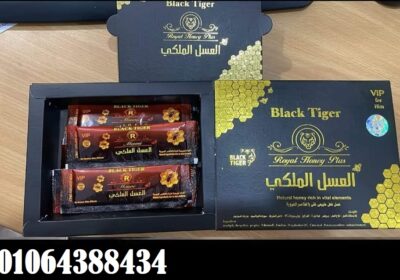 476224791_475772112261763_4353306686123100172_n