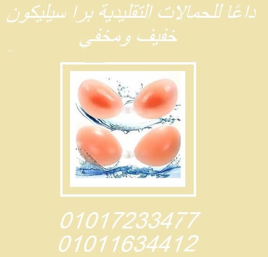 515547010_1257411712687423_5032934946623968896_n-1