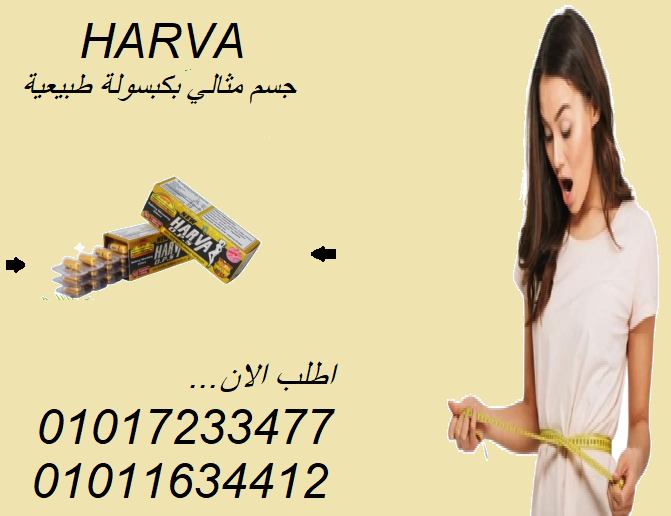 516374371_1117540300394032_987302346512702097_n