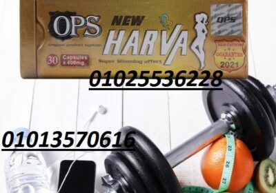 518426023_1222072756601438_3065611196878902758_n-6