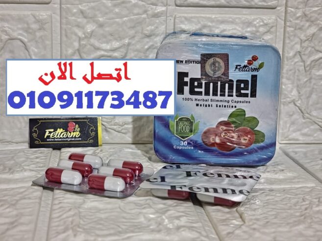 حرق دهون × سد شهية = المعادلة المضمونة
