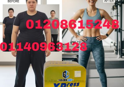 63bcbfe6-de8f-47f9-bbb4-ea4b04b47e12