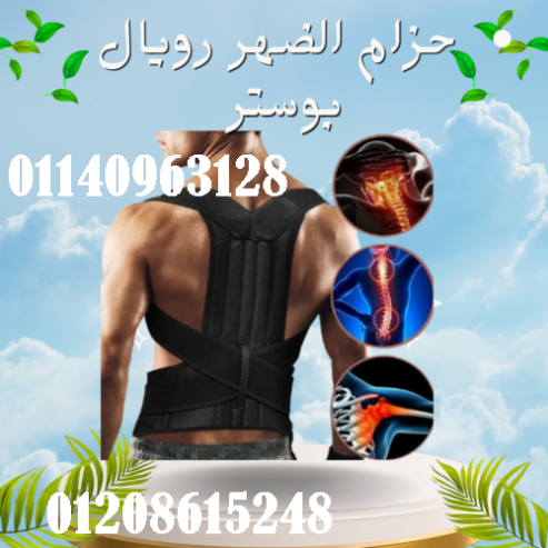 حزام الظهر والعمود الفقري الطبي رويال بوستر – دعم قطني فائق