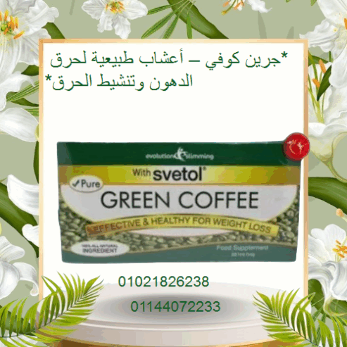 جرين كوفي – أعشاب طبيعية لحرق الدهون وتنشيط الحرق.