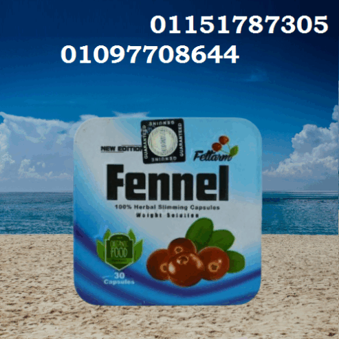 فينيل – تركيبة طبيعية بتسد الشهية وتحرق الدهون بذكاء 01151787305