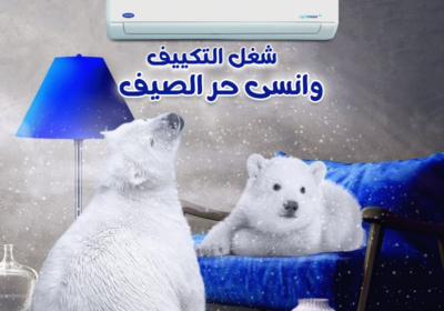 كاريير-22