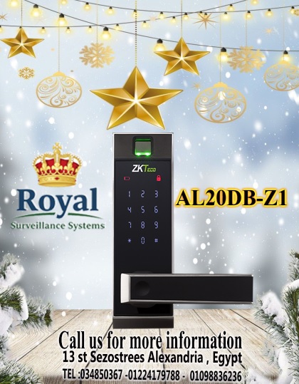 لو زهقت من المفاتيح وبابك محتاج تكنولوجيا، ZKTeco AL20DB هو الحل