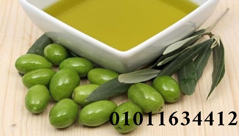 من المزرعة لبيتك مباشرة 🏡 📲 01011634412