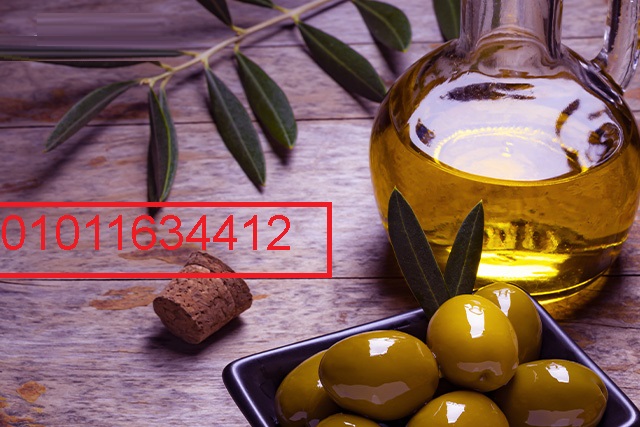شراء زيت زيتون مباشرة من المصدر 01011634412