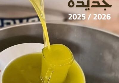 571370384_846064127768401_4965469557813456564_n