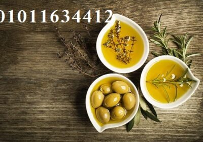 573495380_1254220196750402_3394142459243553707_n-1