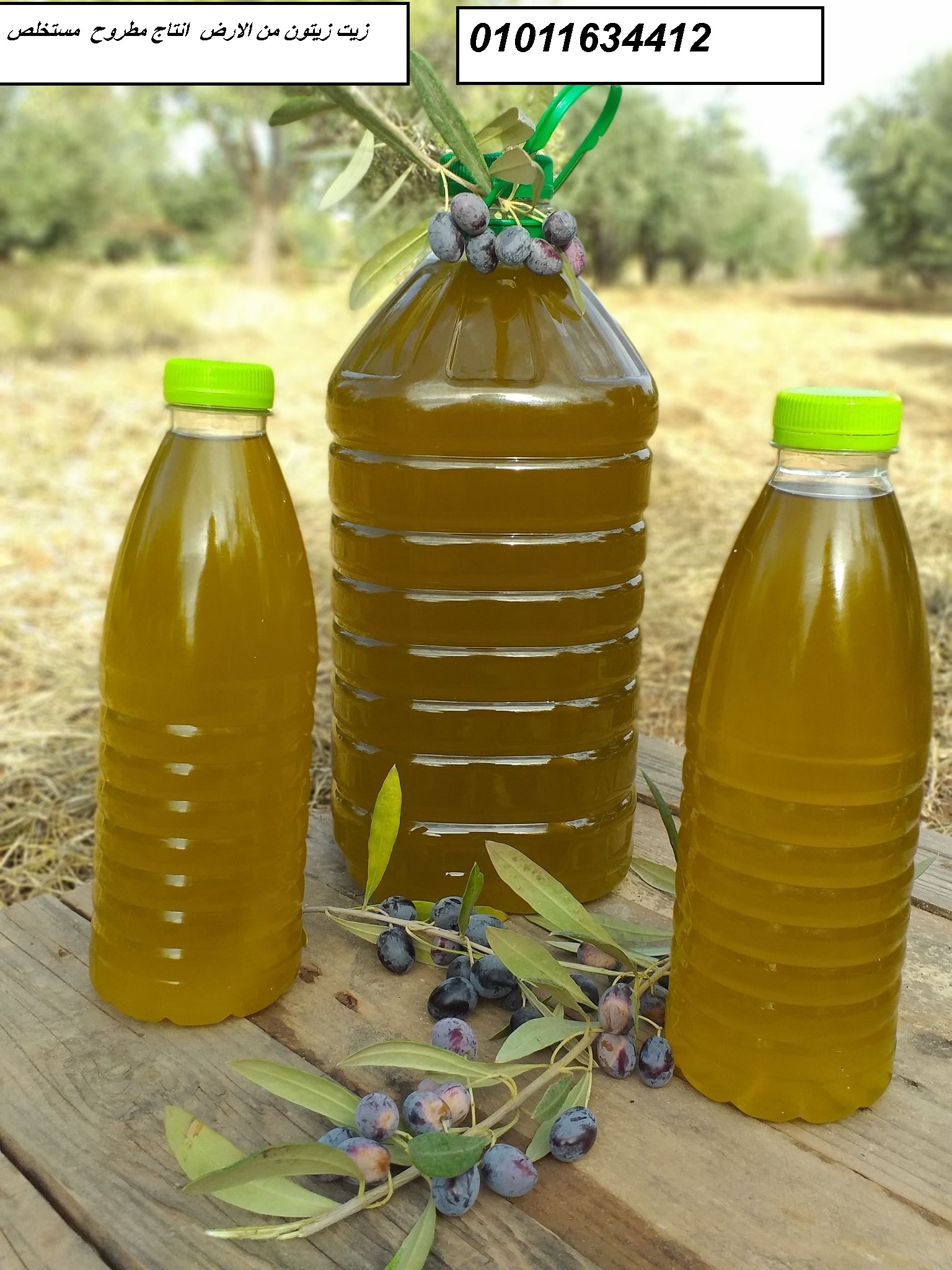 زيت زيتون فاخر 01011634412 للبيع بسعر خاص
