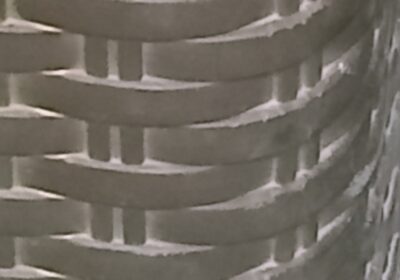IMG20260127134245