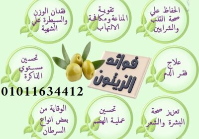 eb84cd176bbd2885a40008c5cbb44b3d