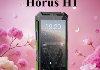 hourse-h1