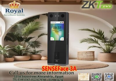 senseface3A