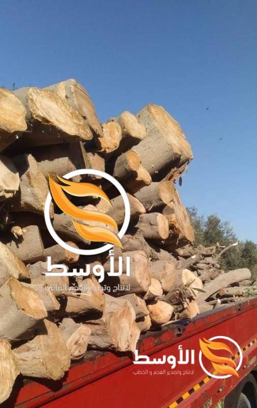 حطب حمضيات زيتون للتصدير