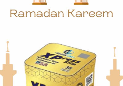 Gold-Simple-Ramadan-Kareem-Instagram-Post-4