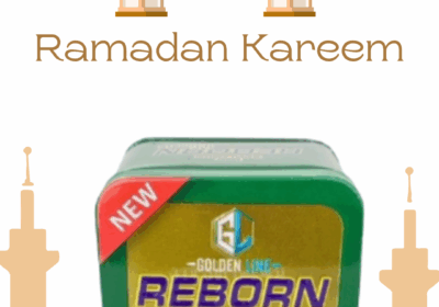 Gold-Simple-Ramadan-Kareem-Instagram-Post-7