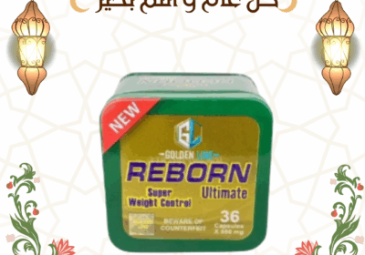 منشور-instagram-كل-عام-و-أنتم-بخير-بمناسبة-عيد-المولد-النبوي-13