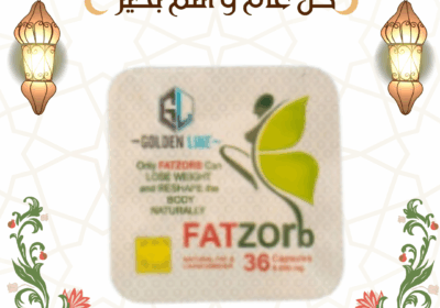 منشور-instagram-كل-عام-و-أنتم-بخير-بمناسبة-عيد-المولد-النبوي-4