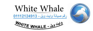 وايت-ويل-1