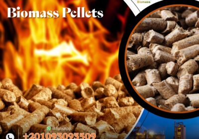 afee29f2-4cfb-4d99-83bb-440f7096ac28
