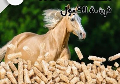 931a30c2-bf10-4dfa-b393-1a5d3a36aff9