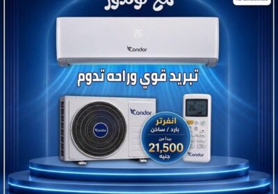 كوندور-11