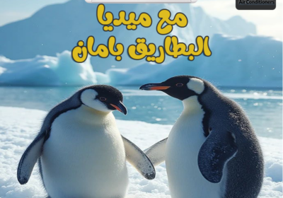 ميديا56546-3